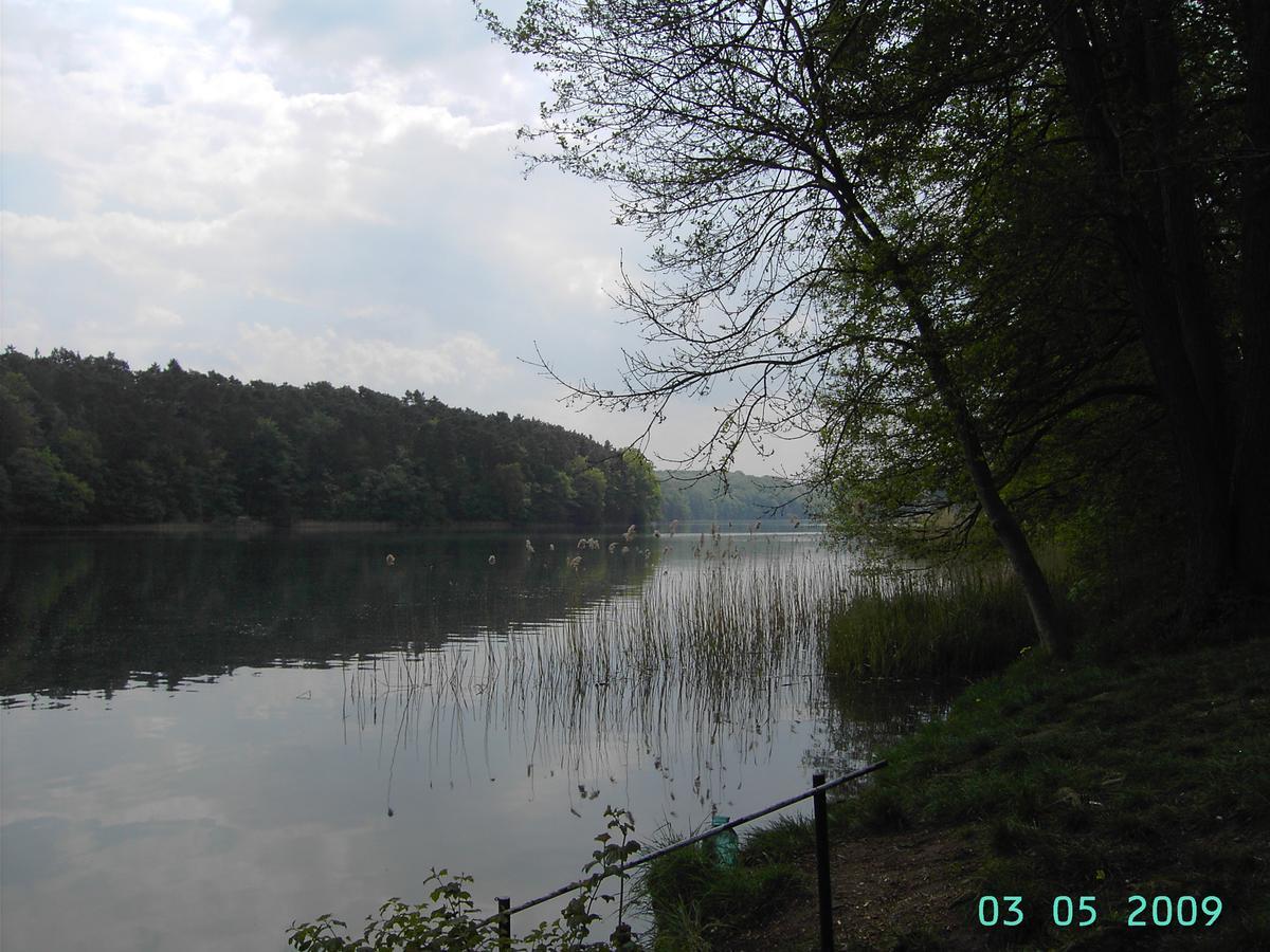 Ferienwohnung Luzinblick Feldberger Seenlandschaft Exterior foto